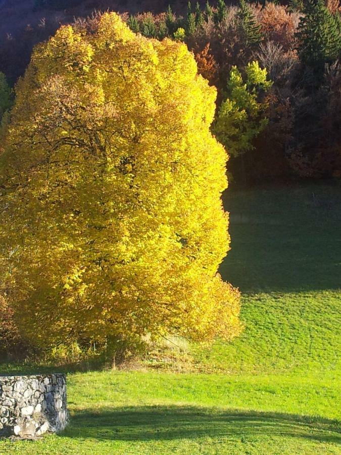Le Relais Du Tilleul Chevenoz 外观 照片
